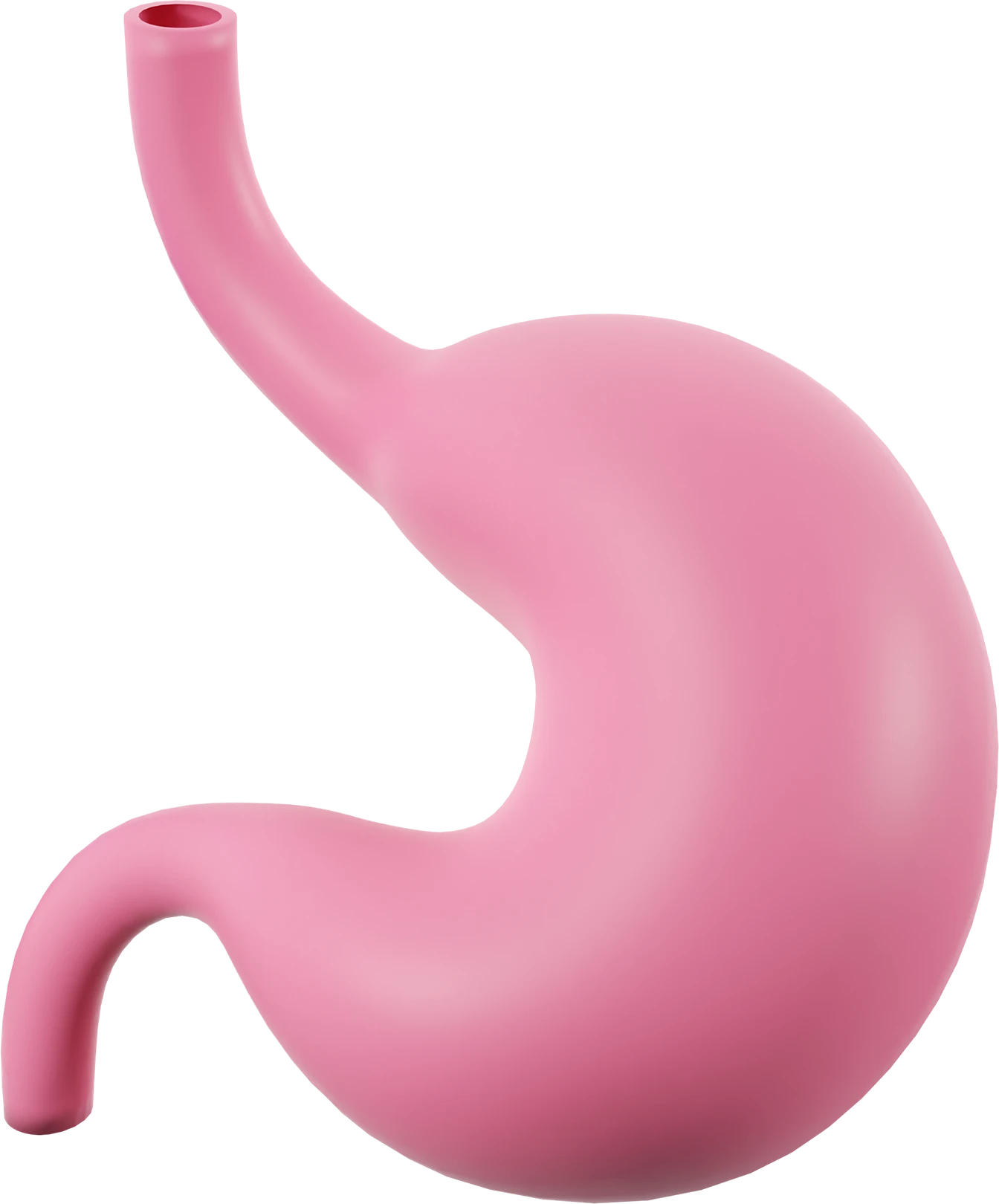 ГАСТРОЭНТЕРОЛОГИЯ